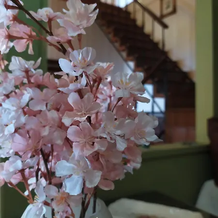 Agnadema House Dom wakacyjny