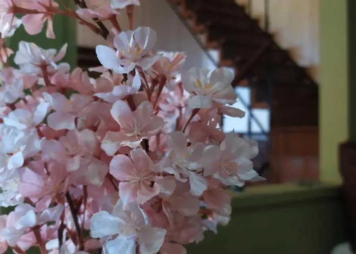 Agnadema House Σπίτι διακοπών